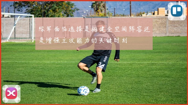 绿军面临选择是构建全空间阵容还是增强主攻能力的关键时刻